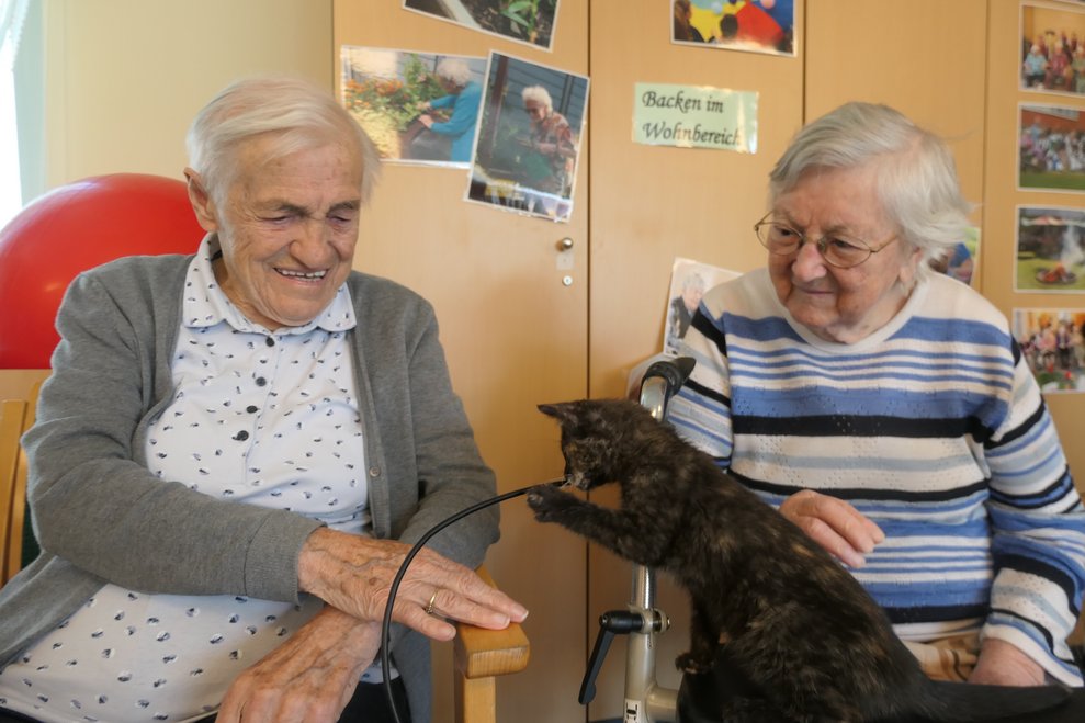 BewohnerInnen mit Katze