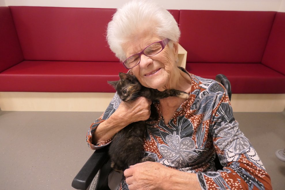 Dame mit Brille kuschelt Katze