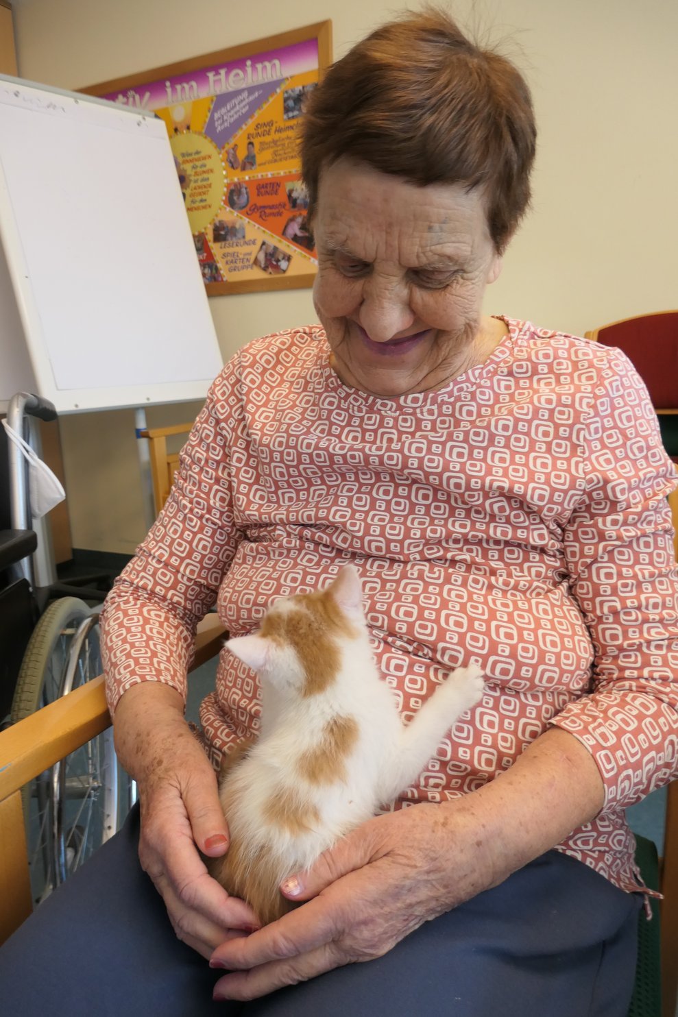 Dame hat Katze am Schoß