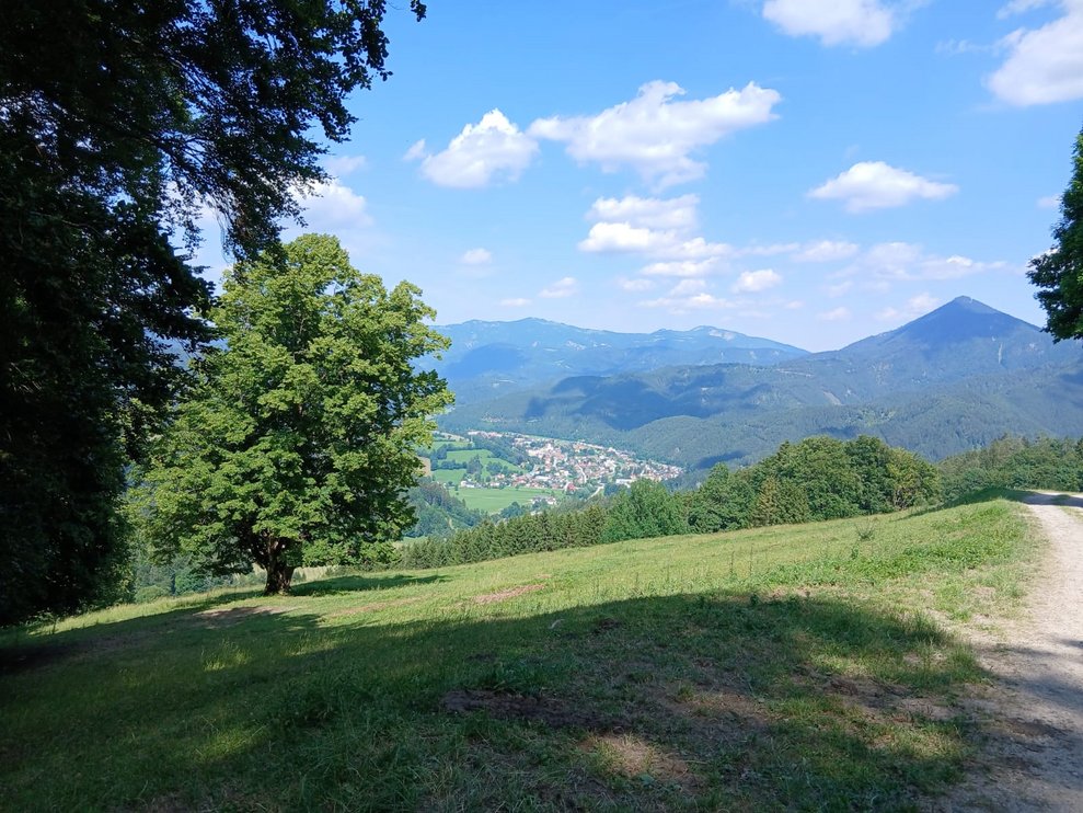 Super Aussicht.